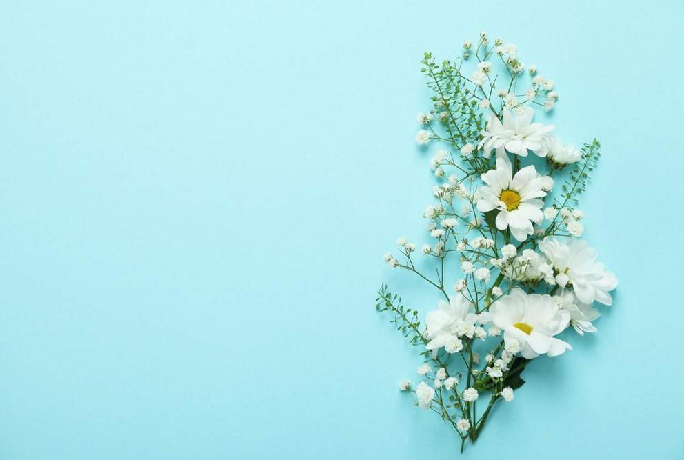 Blüte als Symbol für flexible Beratung